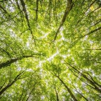 Young Engineering Services Job Opportunity